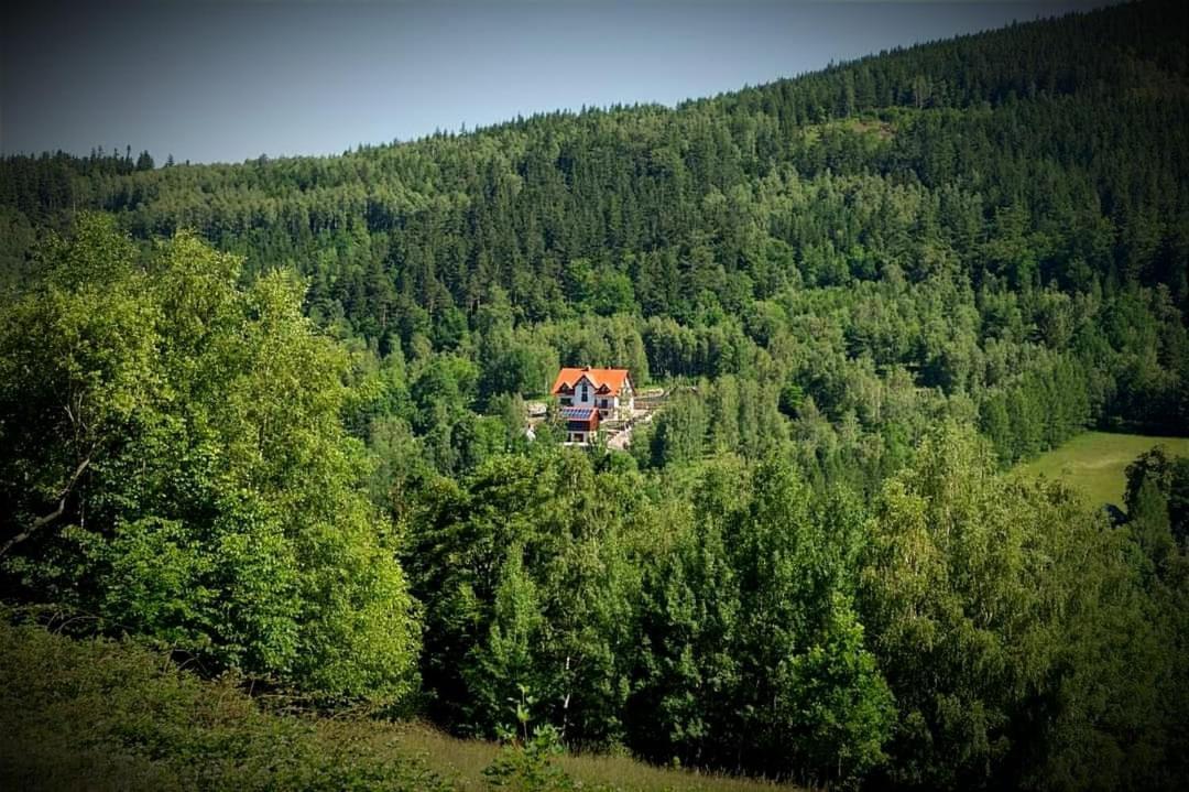 Apartamety I Pokoje Goscinne Na Jaskolczej Świeradów-Zdrój Exteriör bild